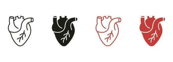 humano coração, cardíaco músculo linha e silhueta cor ícone definir. médico cardiologia pictograma. saudável cardiovascular órgão símbolo coleção em branco fundo. isolado vetor ilustração.