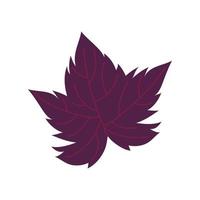 ícone da natureza da folha da planta da uva vetor