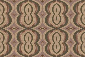motivo ikat paisley bordado fundo. ikat fundo geométrico étnico oriental padronizar tradicional. ikat asteca estilo abstrato Projeto para impressão textura, tecido, saree, sari, tapete. vetor