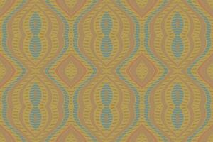 ikat floral paisley bordado fundo. ikat textura geométrico étnico oriental padronizar tradicional. ikat asteca estilo abstrato Projeto para impressão textura, tecido, saree, sari, tapete. vetor