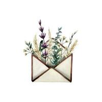 aguarela aberto vintage envelope com seco flores e ervas vetor ilustração, eucalipto, lavanda, trigo, verde folhas, herbário