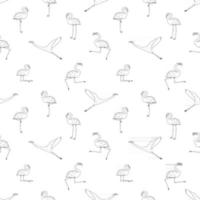 seamless repeat contorno cartoon doodle flamingos pattern isolado no fundo branco. animais bonitos do vetor são ativos, dançando, voam, dormem, descansam, sonham, andam. efeito monocromático de linha preta