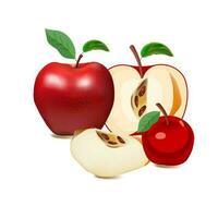 vermelho e verde maçã frutas com cortar e verde folhas. vetor