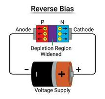 pn junção diodo marcha ré viés vetor