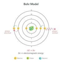 Bohr modelo física química átomo vetor ilustração diagrama