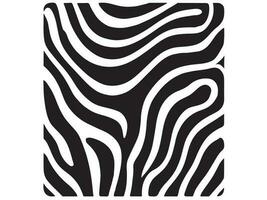 zebra textura vetor