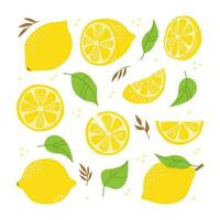 fresco limão todo, completo, metade, pedaço, folha. fruta definir. à mão livre vetor ilustração isolado em branco