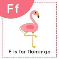 Aprendendo Inglês alfabeto para crianças. carta f. fofa desenho animado flamingo. vetor
