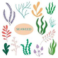 algas marinhas. aquário plantas, embaixo da agua plantio. algas marinhas vetor definir. aquático plantas ilustração, animais selvagens natureza