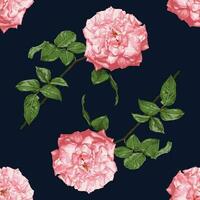 desatado padronizar botânico Rosa rosa flores em abstrato Sombrio azul background.vector ilustração desenhando aguarela estilo.para usava papel de parede design, têxtil tecido ou invólucro papel. vetor