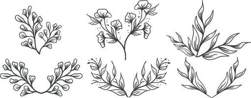conjunto do floral elementos, flor, folhas. mão desenhado esboço lápis estilo vetor