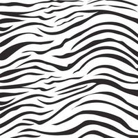 padrão de impressão de pele de animal, design de selva selvagem de pele de zebra vetor