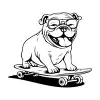 engraçado e fofa buldogue em uma skate, skate cachorro vetor