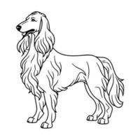 afegão cão de caça, mão desenhado desenho animado personagem, cachorro ícone. vetor