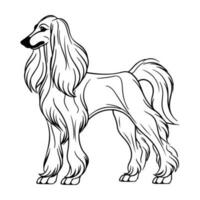 afegão cão de caça, mão desenhado desenho animado personagem, cachorro ícone. vetor