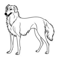 borzói, mão desenhado desenho animado personagem, cachorro ícone. vetor