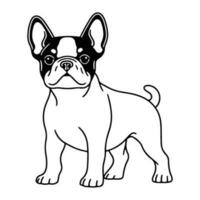 boston terrier, mão desenhado desenho animado personagem, cachorro ícone. vetor