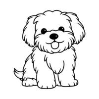 maltês cachorro, mão desenhado desenho animado personagem, cachorro ícone. vetor