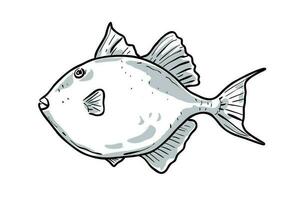 cinzento peixe-porco peixe golfo do México desenho animado desenhando vetor