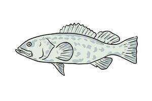 Preto garoupa peixe golfo do México desenho animado desenhando vetor