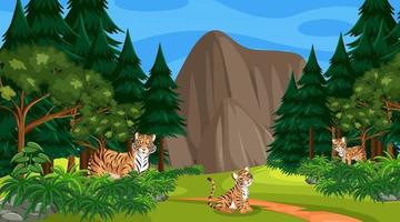 família de tigres em floresta ou cenário de floresta tropical com muitas árvores vetor
