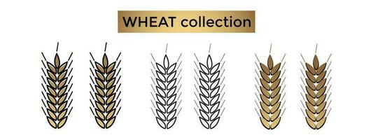 coleção do trigo Fazenda logotipos vetor