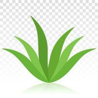 bio ervas verde aloés vera plantar plano ícone para apps e sites vetor