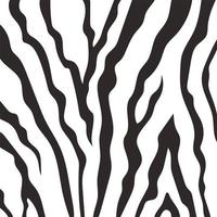 padrão de impressão de pele de animal, detalhes e textura de pele de zebra vetor
