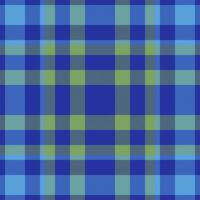 fundo desatado vetor do padronizar xadrez textura com uma tecido Verifica tartan têxtil.