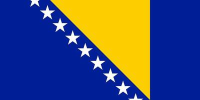 nacional bandeira do Bósnia e herzegovina com oficial cores. vetor