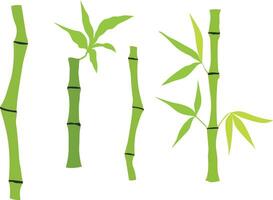 mão desenhado bambu haste e folhas. conjunto do bambu árvore. mão desenhado botânico ilustração isolado em branco fundo. vetor arte