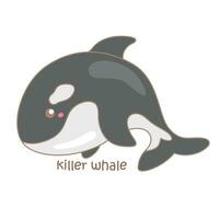 alfabeto k para assassino baleia vocabulário escola lição desenho animado ilustração vetor clipart adesivo