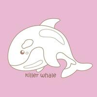 alfabeto k para assassino baleia vocabulário escola lição desenho animado digital carimbo esboço vetor