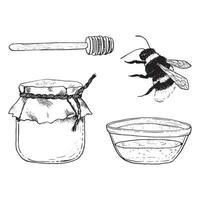 querida vetor ilustração conjunto com querida concha, jarra, vidro tigela e voando abelha. doce natural Comida linha Preto e branco esboços