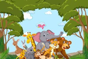 grupo de animais selvagens na moldura da floresta