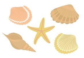 mar cartuchos e estrelas coleção. marinho vetor ilustração do oceano marisco.
