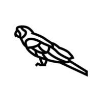 escarlate arara sentado papagaio pássaro linha ícone vetor ilustração