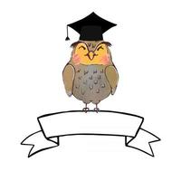 ilustração vetorial colorida de coruja bonita em chapéu de pós-graduação e faixa de faixa de opções vetor