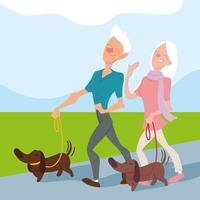 casal de idosos passear com seus cachorros no parque, idosos ativos vetor