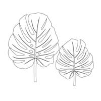 silhueta da moda de folhas de palmeira monstera. ilustração vetorial vetor