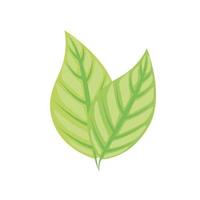ícone de folhas de planta vetor