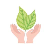 plantar folhas sobre as mãos vetor