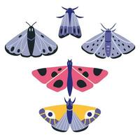 coleção do exótico borboletas e mariposas, desenho animado estilo. conjunto vôo insetos com asas. na moda moderno vetor ilustração isolado em branco fundo, mão desenhado