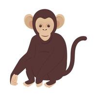 macaco africano animal personagem selvagem vetor