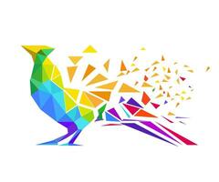 criativo multi luz cor poligonal pássaro Projeto vetor