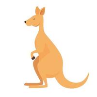 personagem canguru australiano animal selvagem vetor