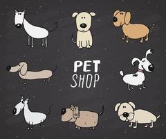 cães engraçados doodle conjunto. ilustração em vetor desenho desenhado à mão coleção de animais de estimação