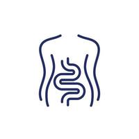 intestinos, ícone de linha do cólon em branco vetor