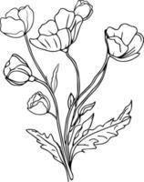 papoula flor vetor clipart, papoula flor parede arte, estoque esboço parede pintura ilustração, agosto nascimento flor, agosto nascimento flor tatuagem, agosto nascimento flor desenhos