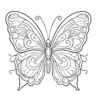 coloração página para crianças borboleta vetor